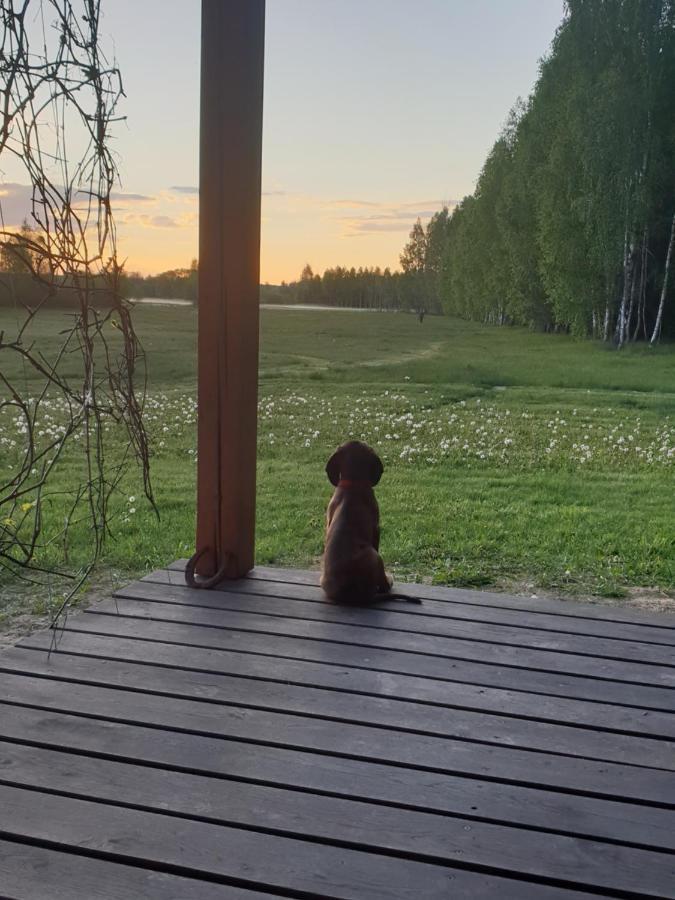 Ciche Podlasie Семянувка Экстерьер фото