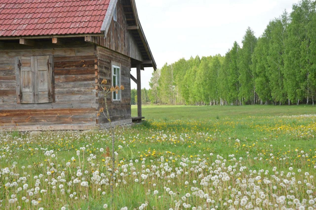 Ciche Podlasie Семянувка Экстерьер фото