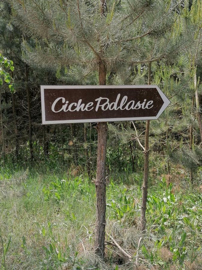 Ciche Podlasie Семянувка Экстерьер фото