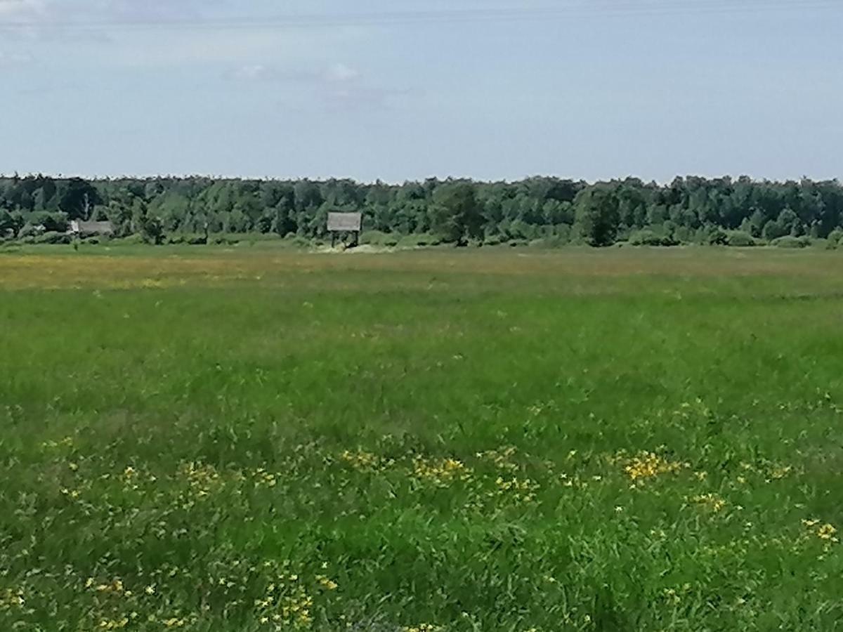Ciche Podlasie Семянувка Экстерьер фото