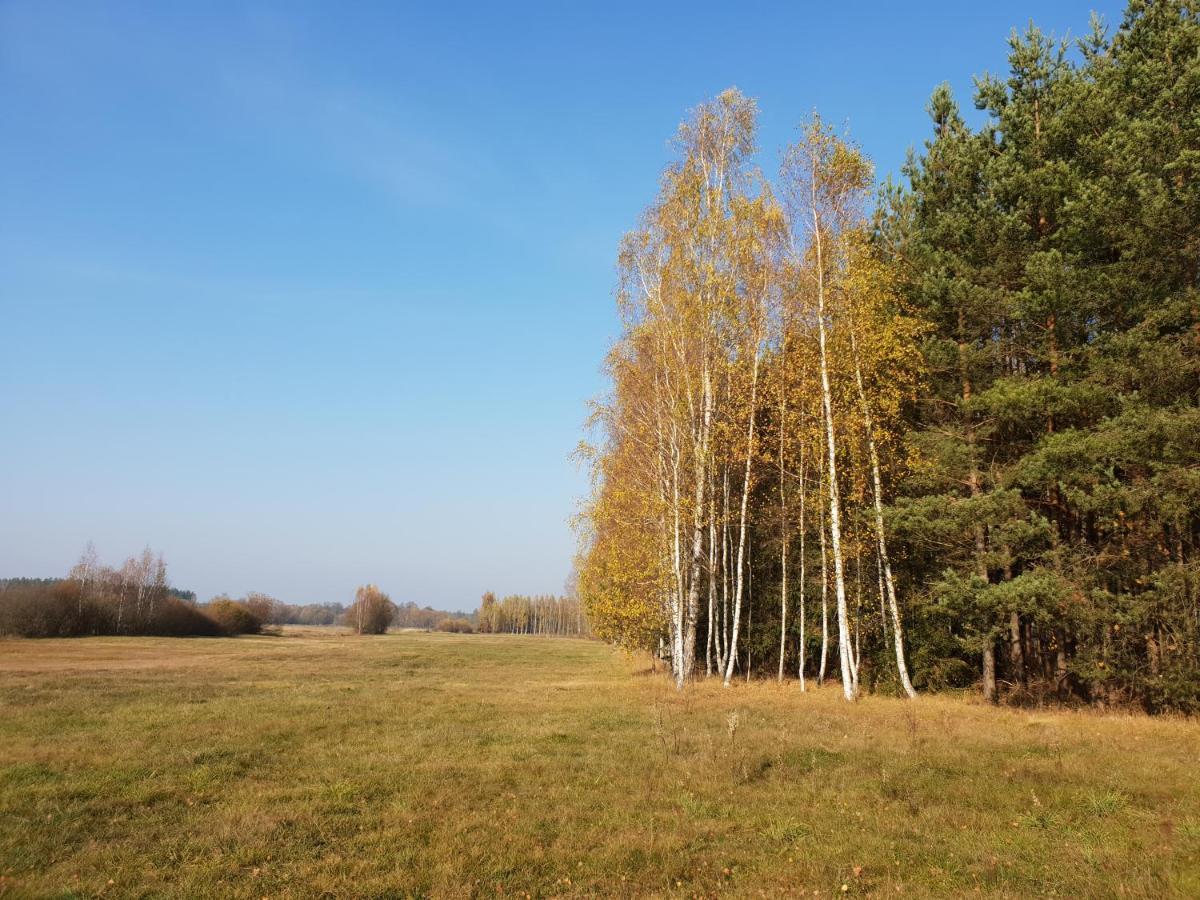 Ciche Podlasie Семянувка Экстерьер фото
